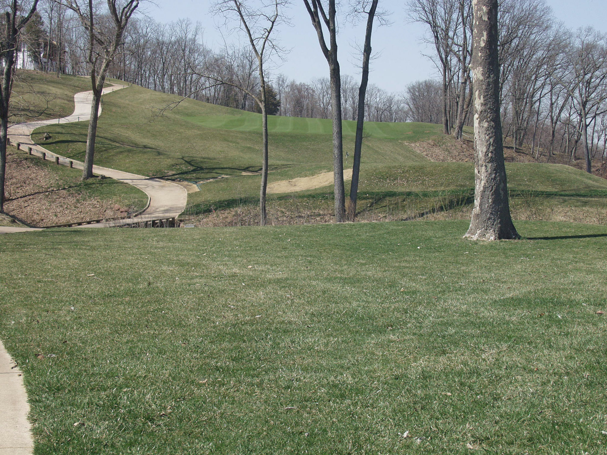 HOLE-153.jpg