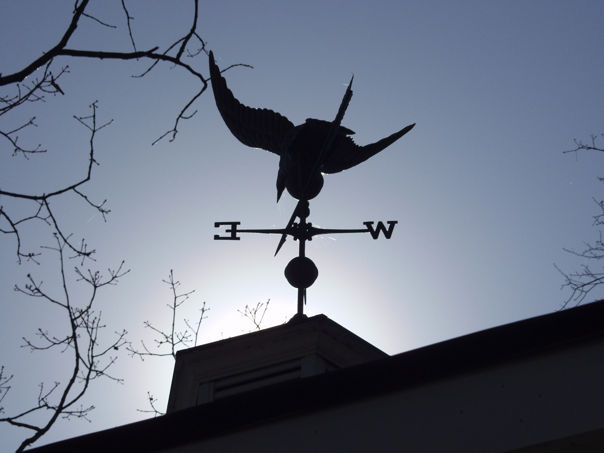 WEATHERVANE-1.jpg