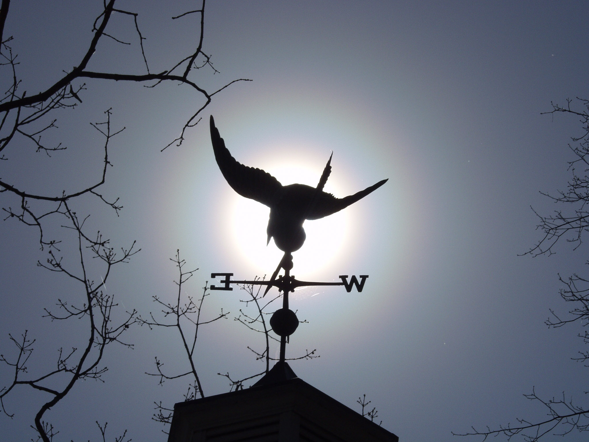 WEATHERVANE-2.jpg