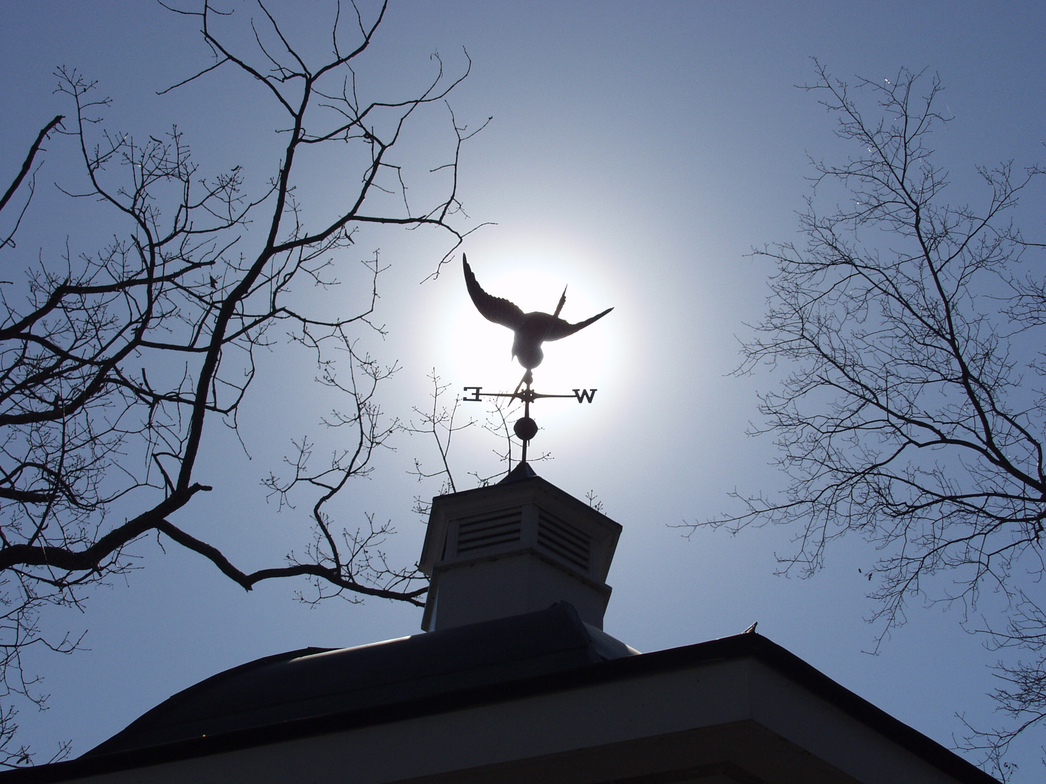 WEATHERVANE-3.jpg