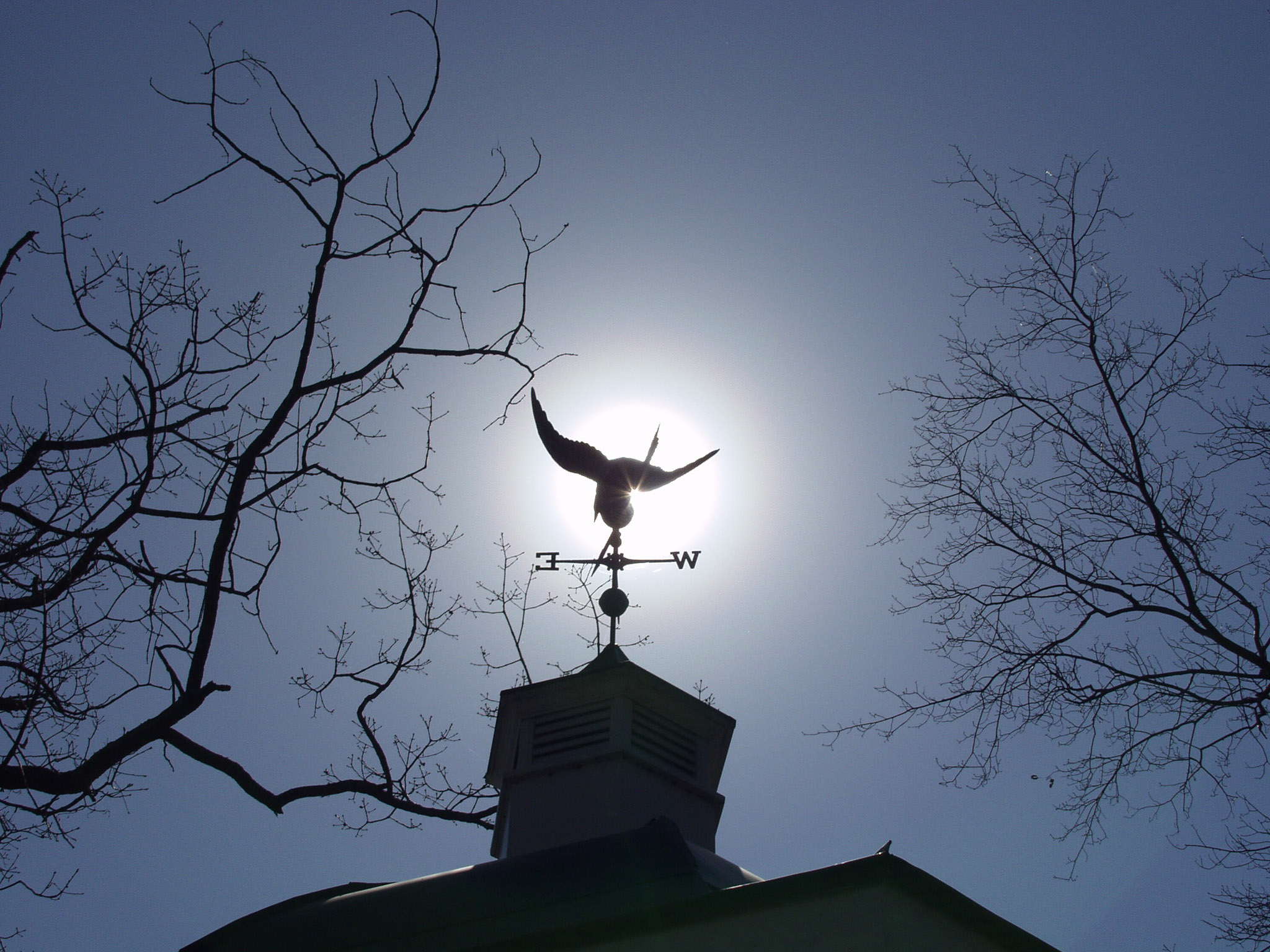 WEATHERVANE-5.jpg