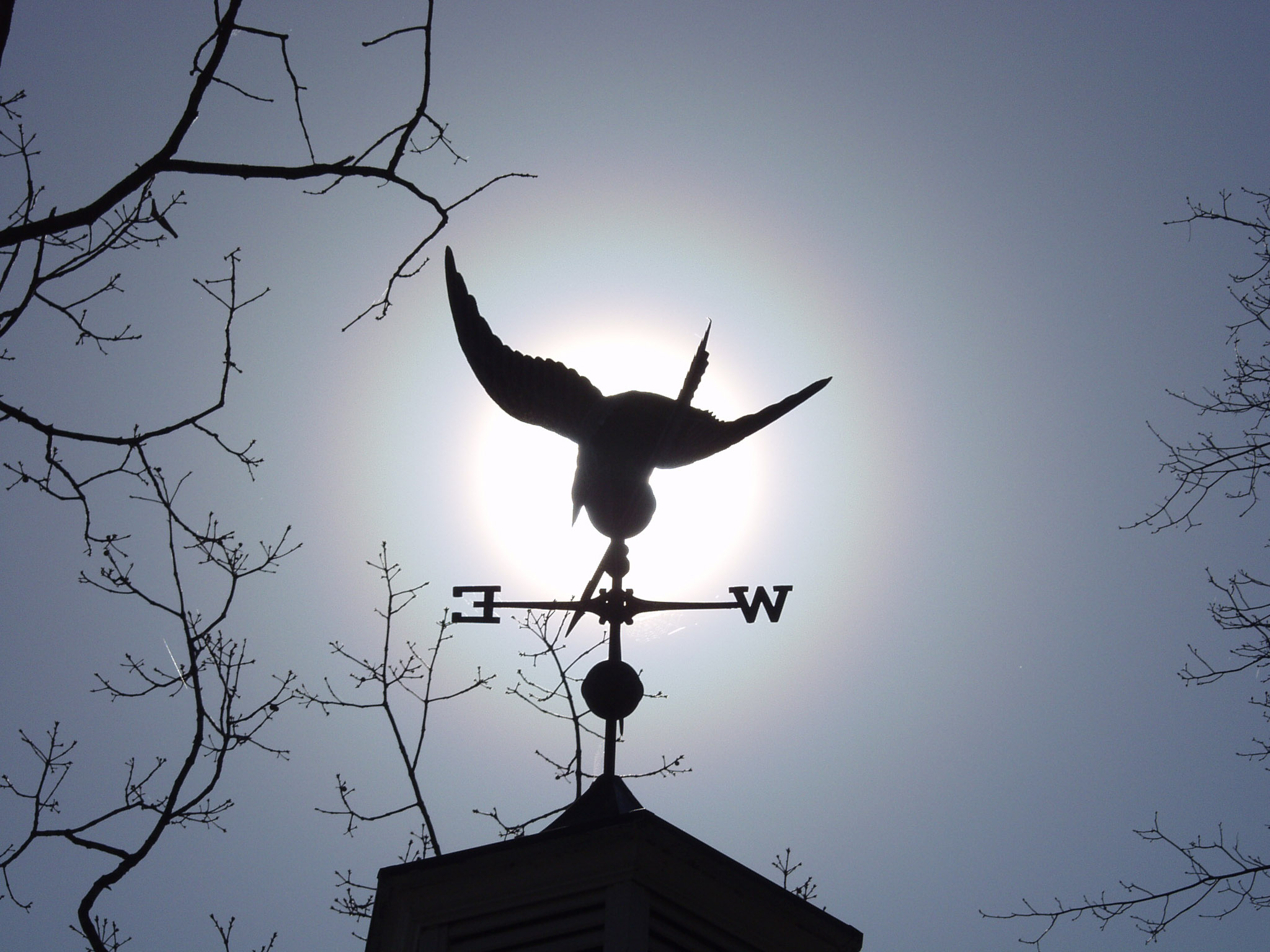 WEATHERVANE.jpg